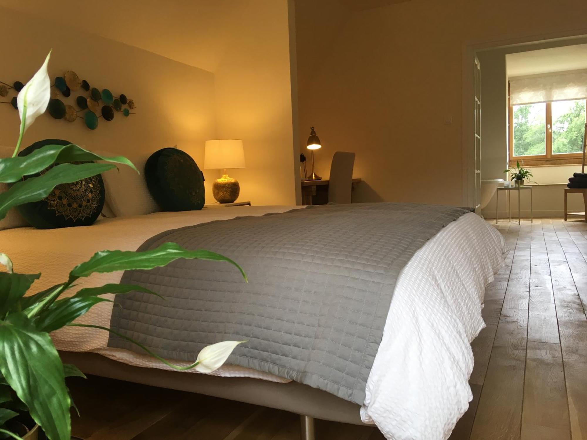 Chateau De Belespy La Bastide-de-Besplas Habitación foto
